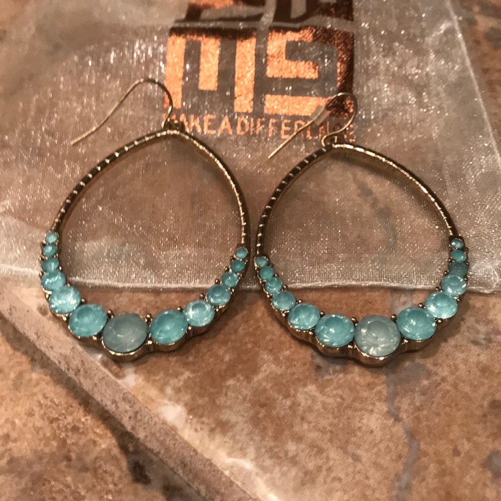 Express Turquoise Color Stone Earrings $29!